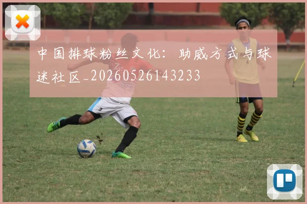 中国排球粉丝文化:助威方式与球迷社区_20260526143233