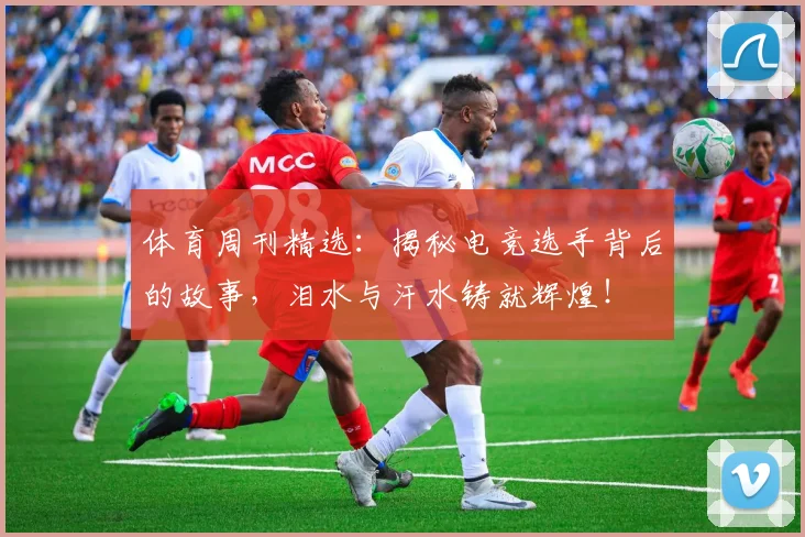 体育周刊精选：揭秘电竞选手背后的故事，泪水与汗水铸就辉煌！