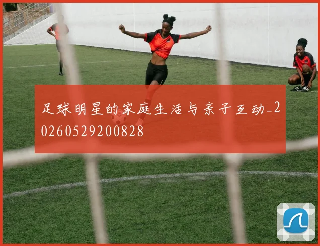足球明星的家庭生活与亲子互动_20260529200828
