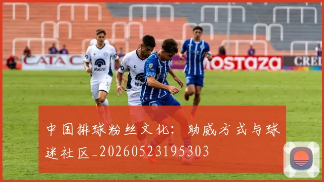 中国排球粉丝文化：助威方式与球迷社区_20260523195303
